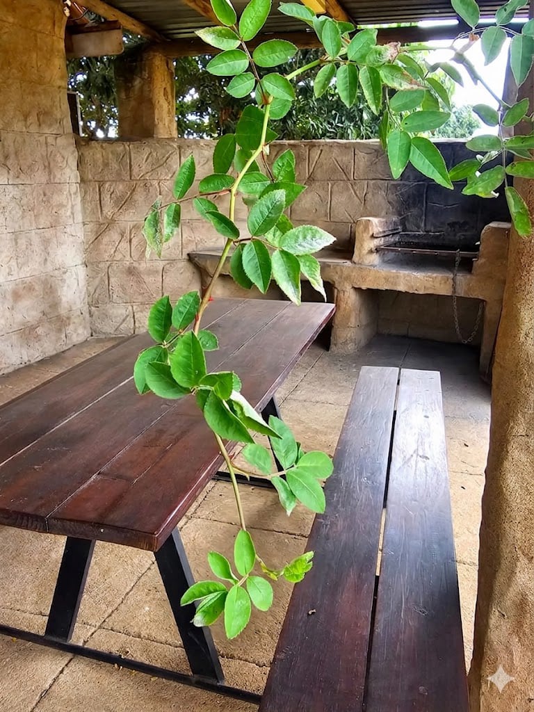 House 1 Dining room